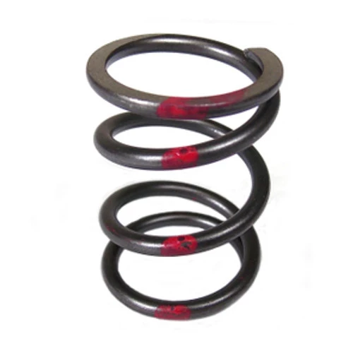 VALVE SPRING SINGLE