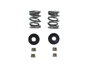 VALVE SPRING KIT DUAL