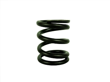 DISC CLUTCH SPRINGS
