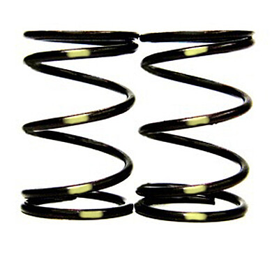 VALVE SPRING SINGLE