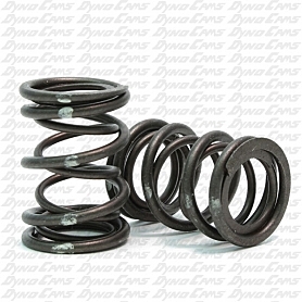 VALVE SPRING DUAL