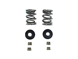 VALVE SPRING KIT DUAL 